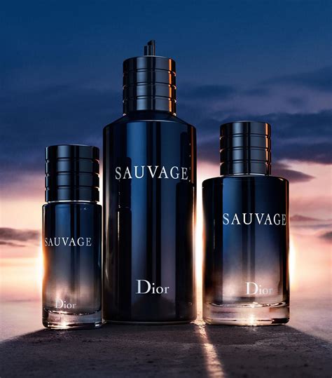 musique eau sauvage dior 2017|dior sauvage 100 ml price.